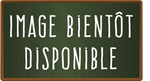 BADGE PLASTIQUE AV/PINCE 60X90 BTE25